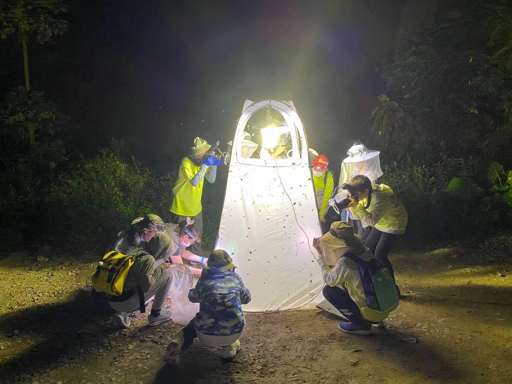 Tente de capture d'insectes av - Outdoor Lighting Collections avis et prix