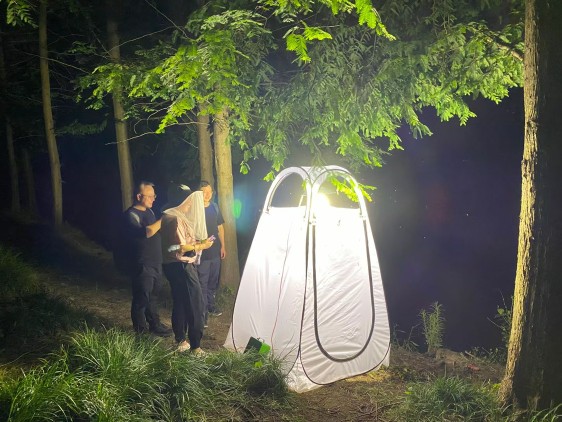 Tente de capture d'insectes av - Outdoor Lighting Collections avis et prix