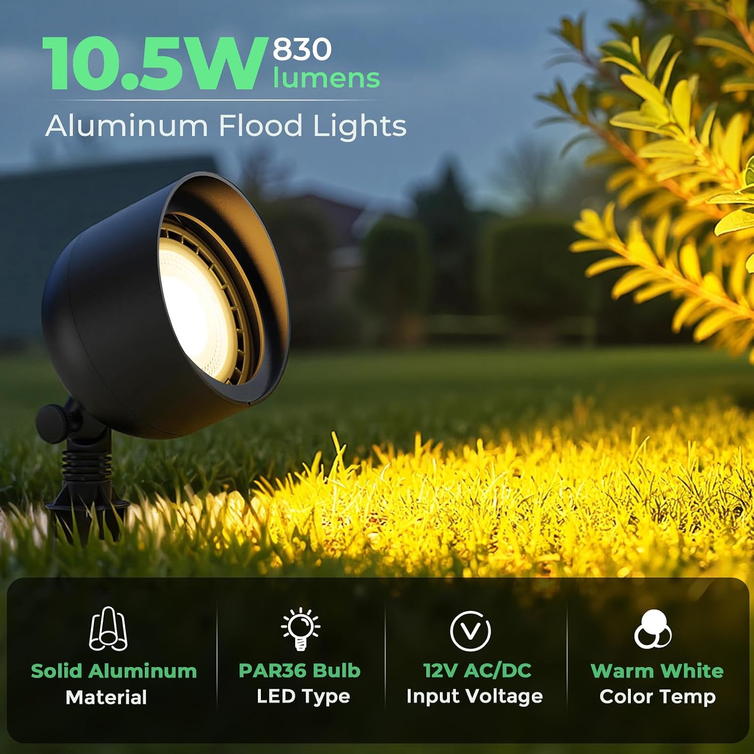 Projecteur LED paysager basse  - Outdoor Lighting Tree avis et prix